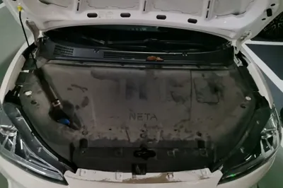 NETA V