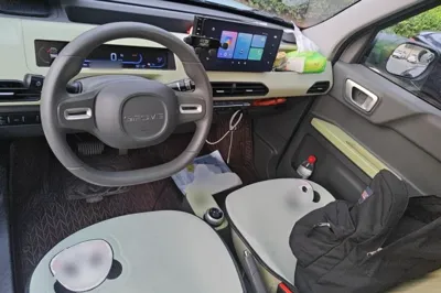 Geely Galaxy Panda