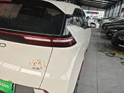 BYD Seagull