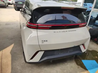 BYD Seagull