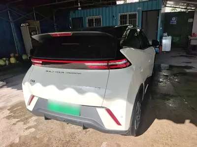 BYD Seagull