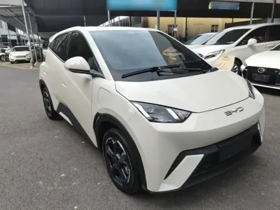 BYD Seagull