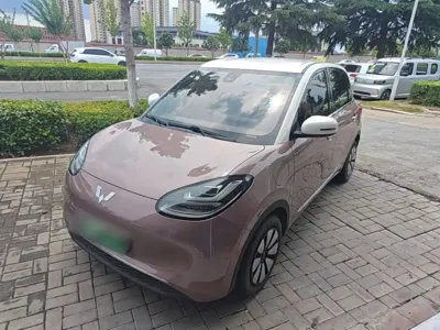 Wuling Bingo