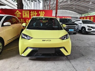 BYD Seagull