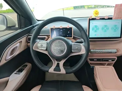 BYD Seagull
