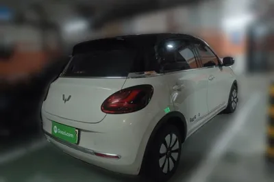 Wuling Bingo
