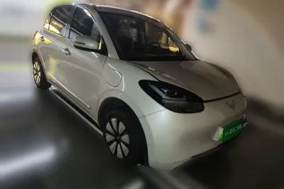 Wuling Bingo
