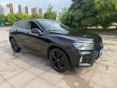 WEY Wey VV7