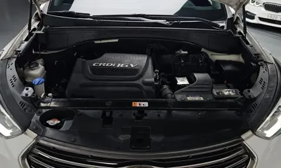 Hyundai Maxcruz