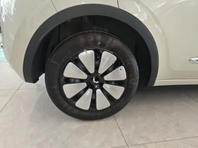 Wuling Bingo