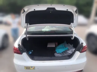 Geely Auto Binray