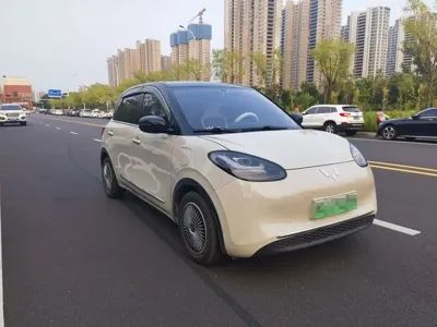 Wuling Bingo