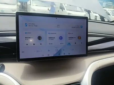 BYD Pro New Energy