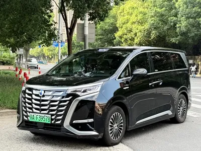 Denza Denza D9