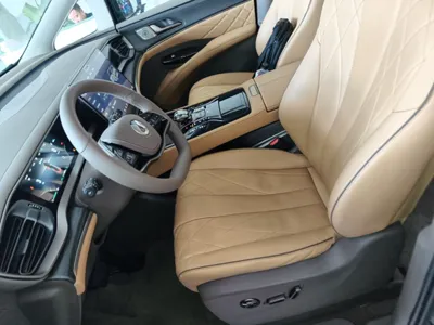 Denza D9
