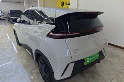 BYD Seagull
