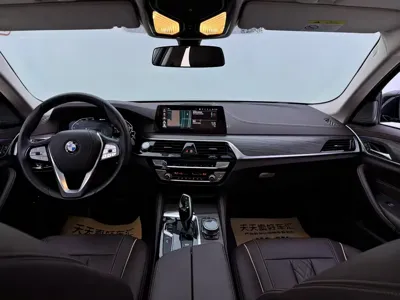 BMW 5 Series New Energy