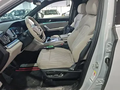 BYD Tang New Energy
