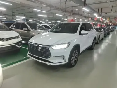 BYD Pro New Energy