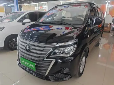 Fengxing Lingzhi