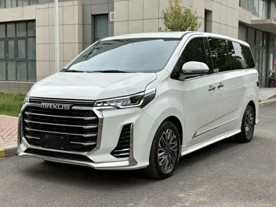 大通 G20