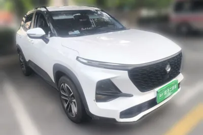 Baojun RS-3