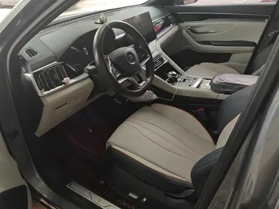 BYD PLUS New Energy