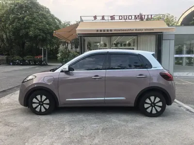 Wuling Bingo