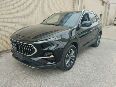 SOL 思皓X7