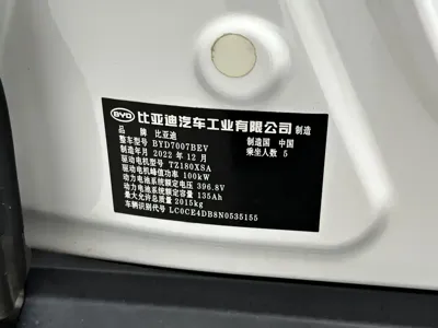 BYD D1
