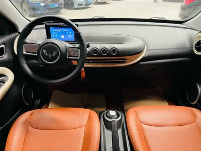 Wuling Bingo