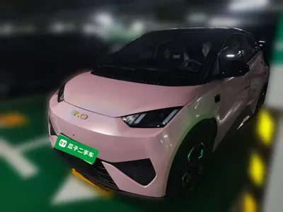 BYD Seagull