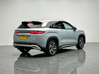 BYD L DM-i