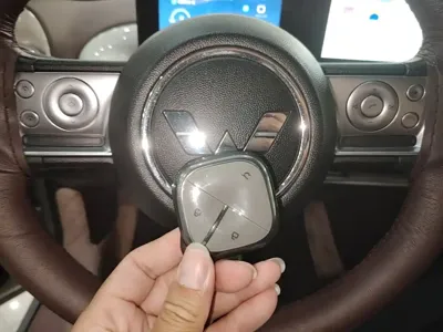 Wuling Bingo
