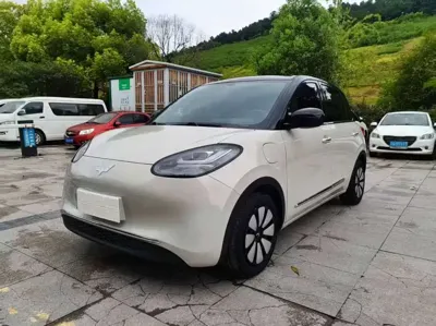 Wuling Bingo