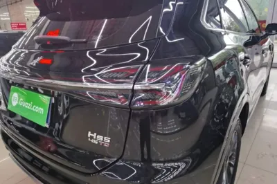 Hongqi HS5