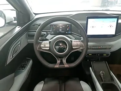 BYD Seagull