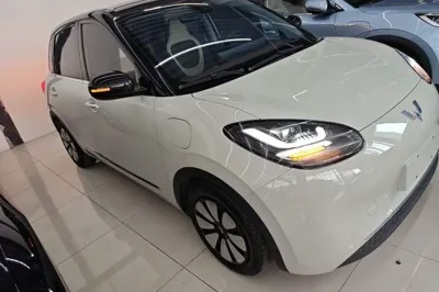 Wuling Bingo