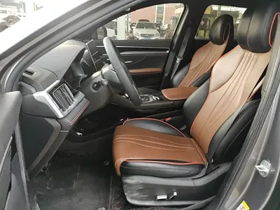 BYD PLUS