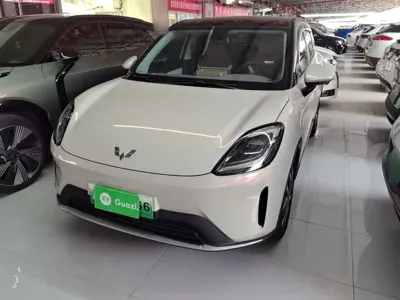 Wuling 缤果S
