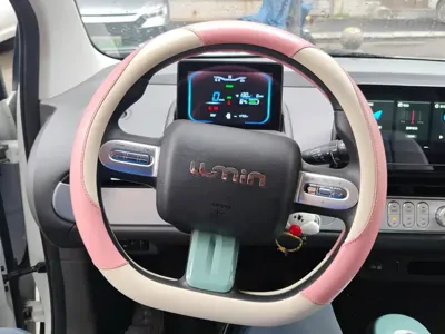 Qiyuan Lumin