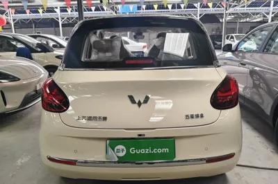 Wuling Bingo
