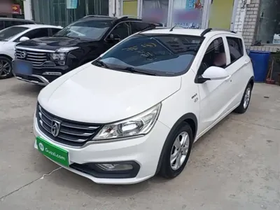 Baojun 310