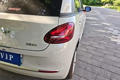 Wuling Bingo