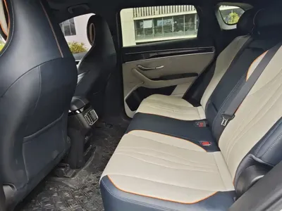 BYD PLUS New Energy
