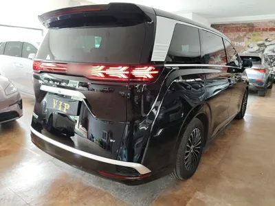 Denza D9