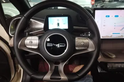 BYD Dolphin