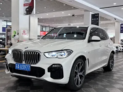 BMW X5 (Import)