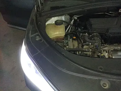 BYD PLUS