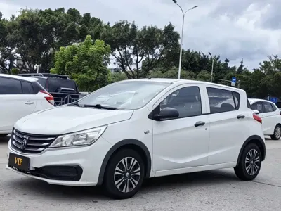 Baojun 310